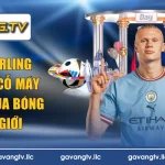Tiểu Sử Erling Haaland | Cỗ Máy Săn Bàn Của Bóng Đá Thế Giới