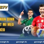 chuyên gia nhận định bóng đá